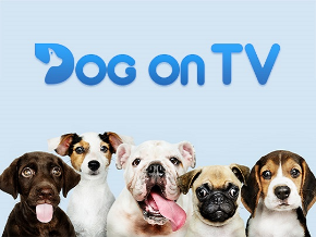 Dog on TV