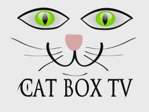 Cat Box TV